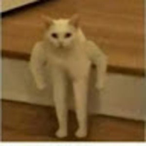 Meet your Posher, Bumble